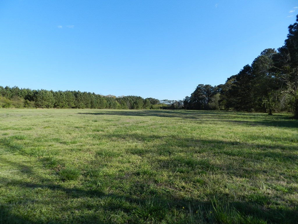 Lot 6 Barlow Creek Ln #6, Eastville, Virginia image 21