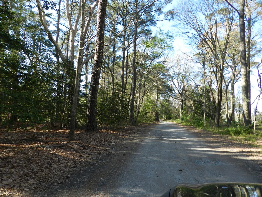 Lot 6 Barlow Creek Ln #6, Eastville, Virginia image 22