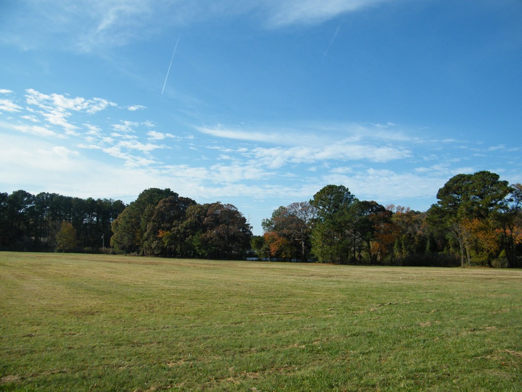 Lot 6 Barlow Creek Ln #6, Eastville, Virginia image 19