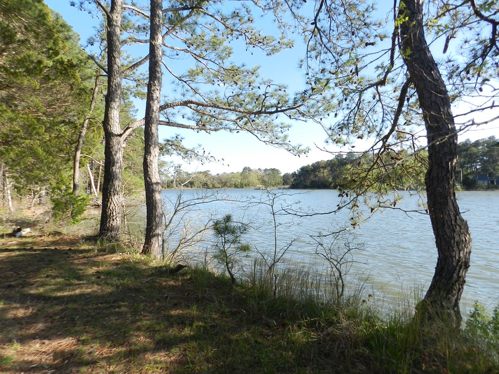 Lot 6 Barlow Creek Ln #6, Eastville, Virginia image 8