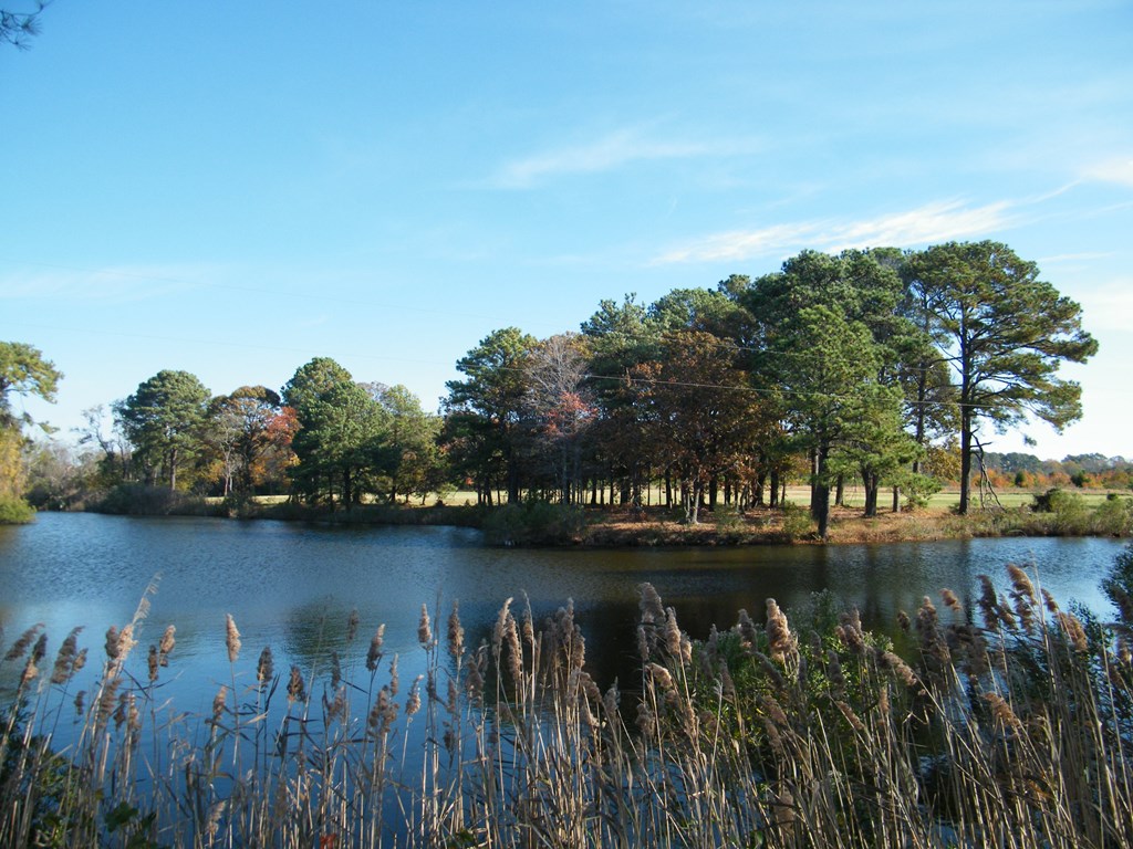 Lot 6 Barlow Creek Ln #6, Eastville, Virginia image 11