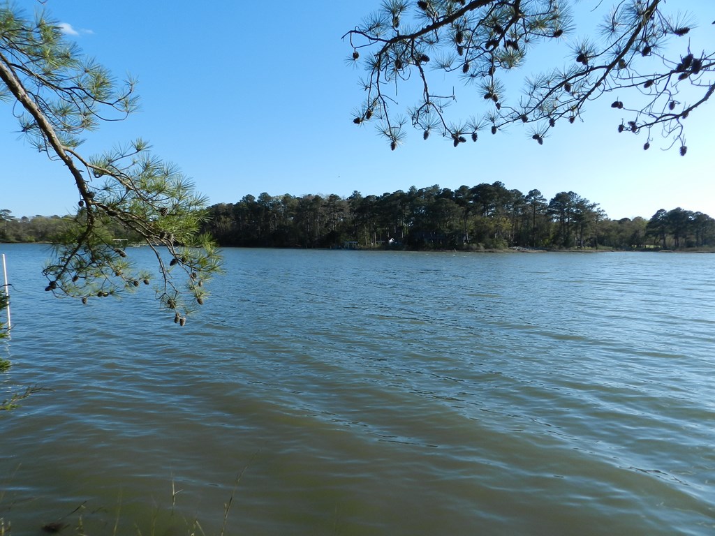Lot 6 Barlow Creek Ln #6, Eastville, Virginia image 6
