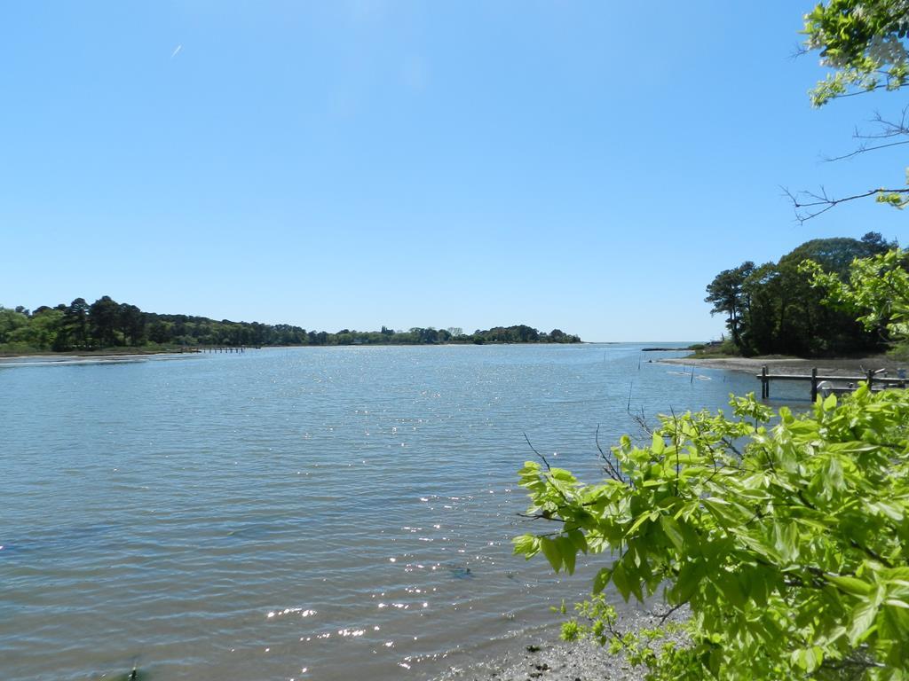 Lot 6 Barlow Creek Ln #6, Eastville, Virginia image 1