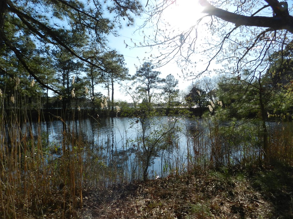 Lot 6 Barlow Creek Ln #6, Eastville, Virginia image 13
