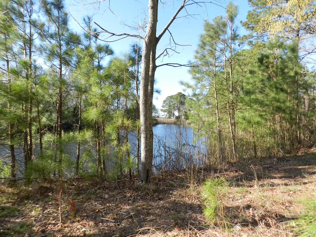 Lot 6 Barlow Creek Ln #6, Eastville, Virginia image 12