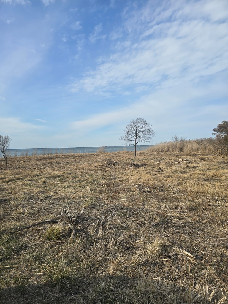 Dennis Dr #16, Saxis, Virginia image 6