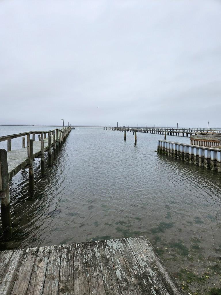 3482 Main St, Chincoteague, Virginia image 36
