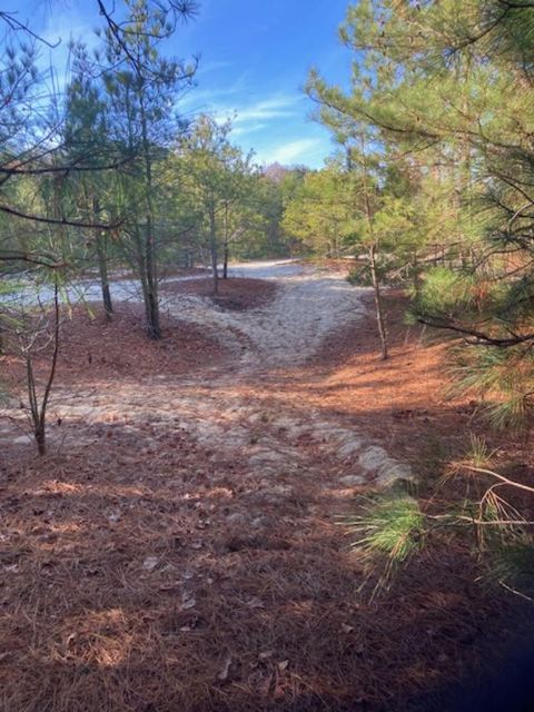 Vacant Land For Sale - Cherry Hill Rd<br/> Accomack County, Accomac, VA 23301