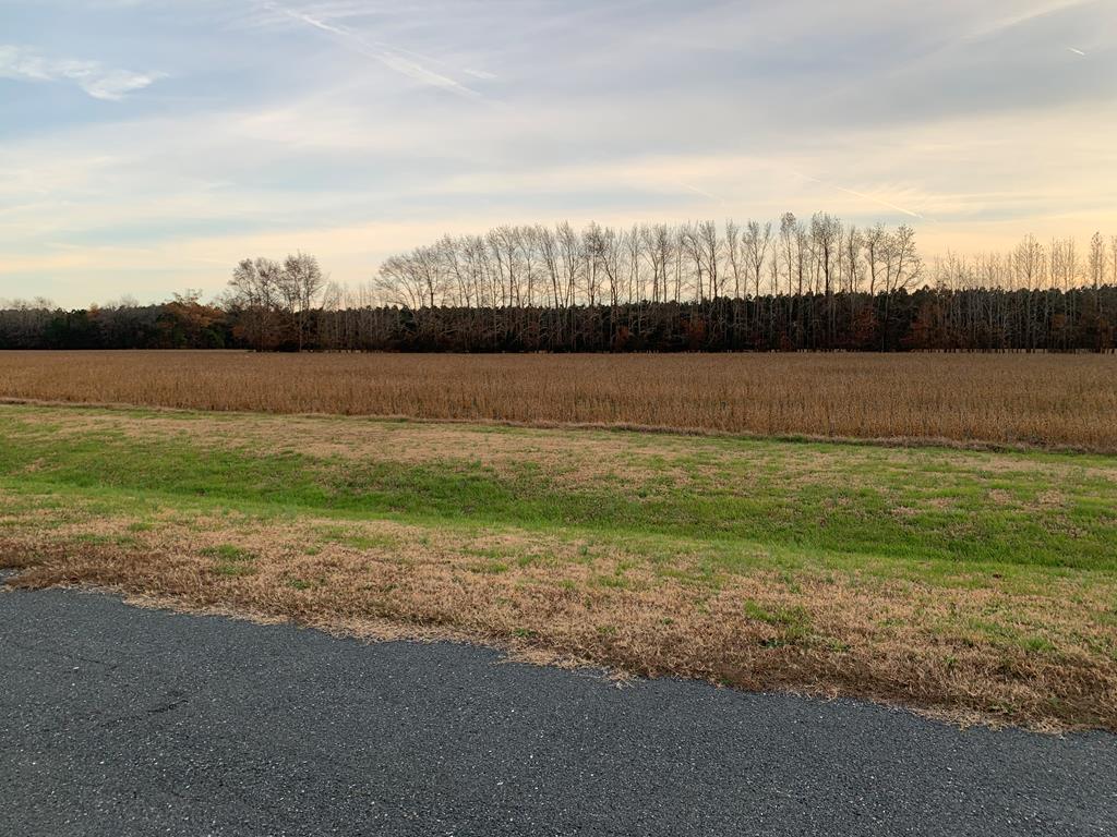 Lot 2 Waterside Dr #2, New Church, Virginia image 8