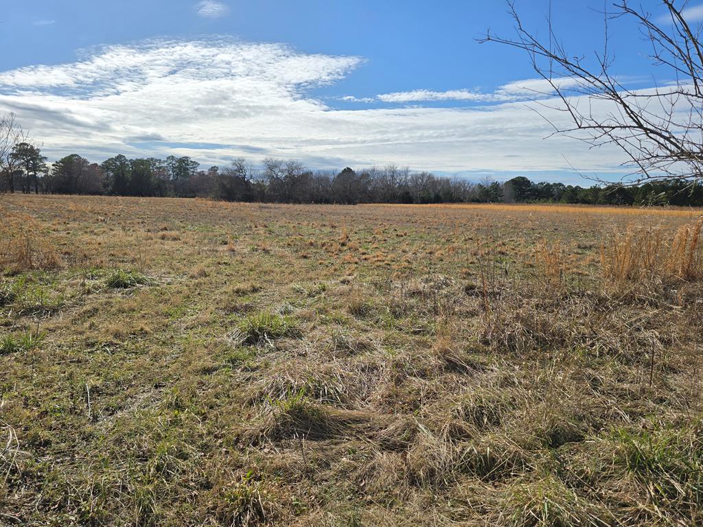 Mink Farm Rd #3  4, Onancock, Virginia image 1
