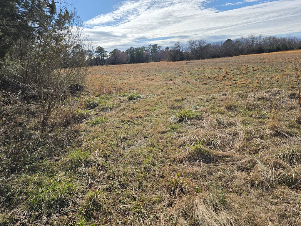 Mink Farm Rd #3  4, Onancock, Virginia image 2