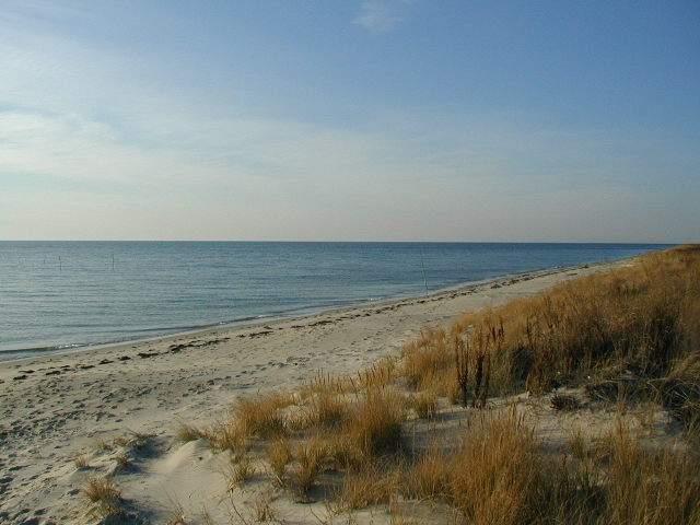 00 Nottingham Ridge Ln #3B, Cape Charles, Virginia image 4