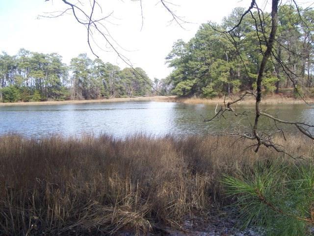 22048 Verlinda Lndg North #45, Cape Charles, Virginia image 1