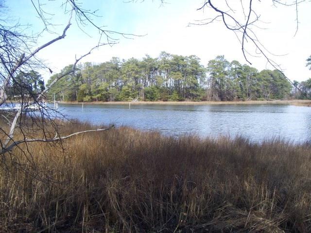 22048 Verlinda Lndg North #45, Cape Charles, Virginia image 5