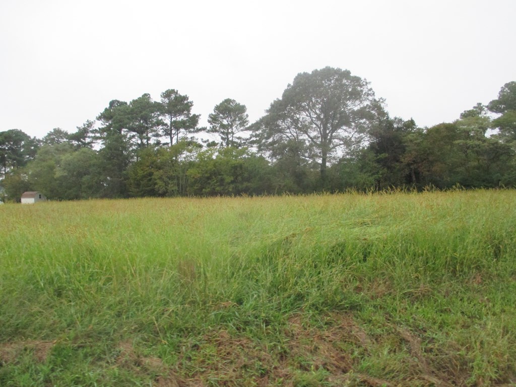 22048 Verlinda Lndg North #45, Cape Charles, Virginia image 2