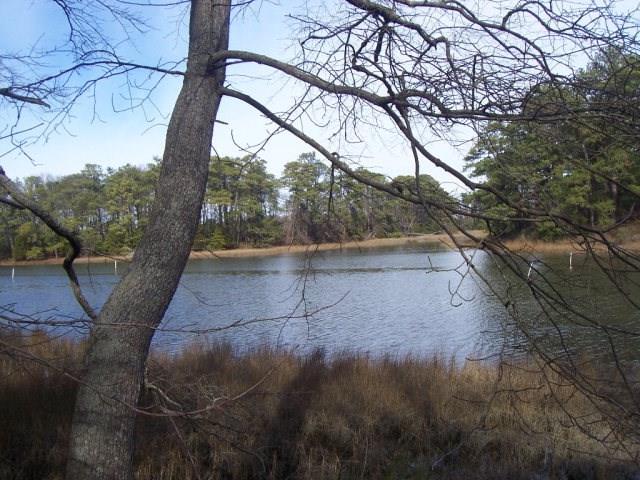 22048 Verlinda Lndg North #45, Cape Charles, Virginia image 3