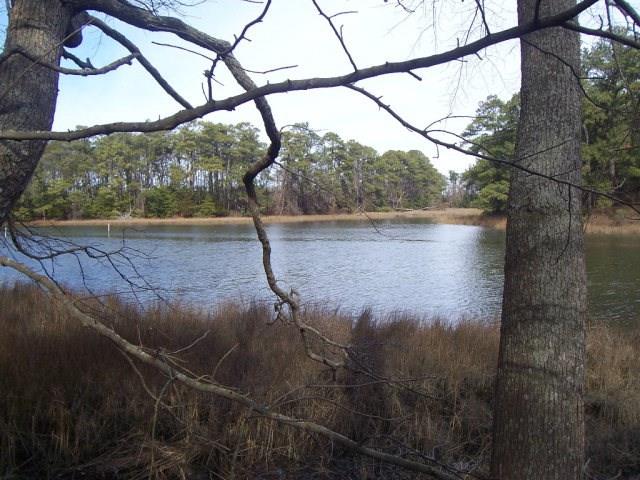 22048 Verlinda Lndg North #45, Cape Charles, Virginia image 4