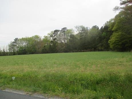 1 SALTWORKS RD # 1, EXMORE, VA 23350 - Image 8d6f4a7d7a82b2aeeb8b66add754543a/230205205
