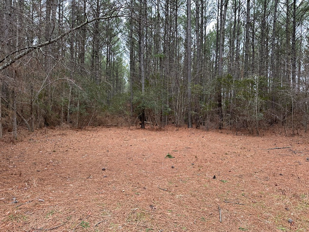 16 Acres Mount Nebo Rd, Onancock, Virginia image 2