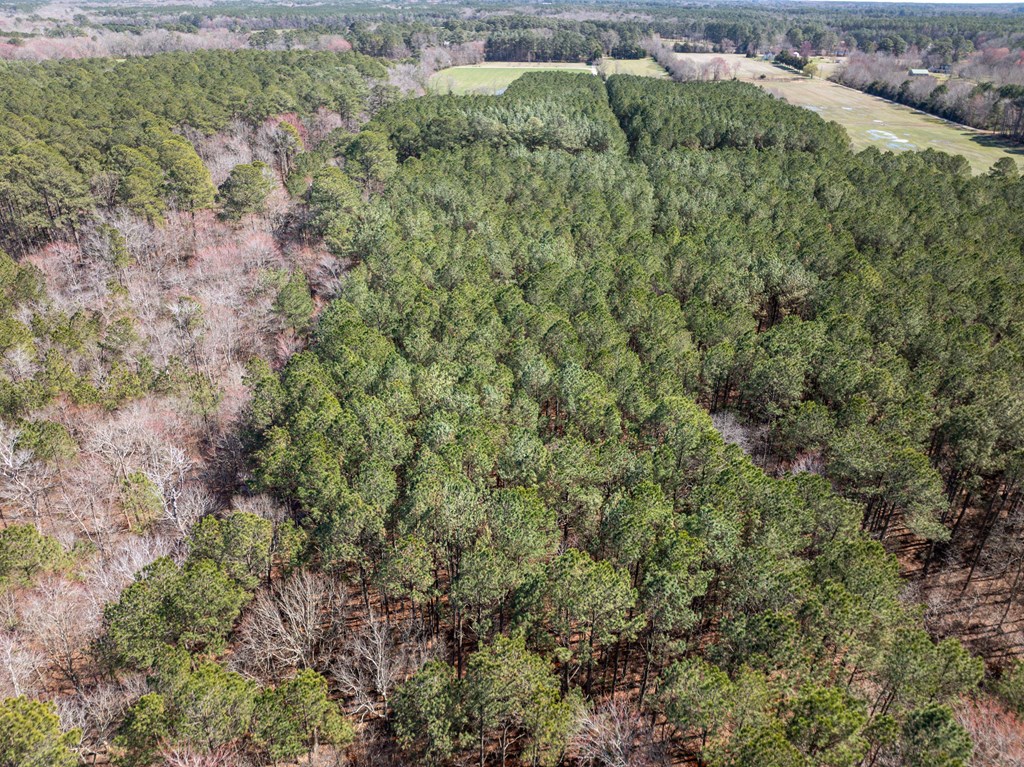 16 Acres Mount Nebo Rd, Onancock, Virginia image 9