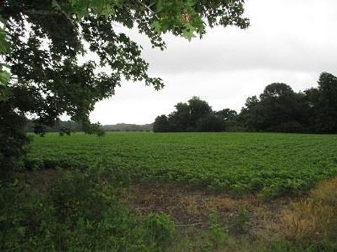 Vacant Land For Sale - 2 Fletcher Rd #2<br/> Nelsonia, VA 23414