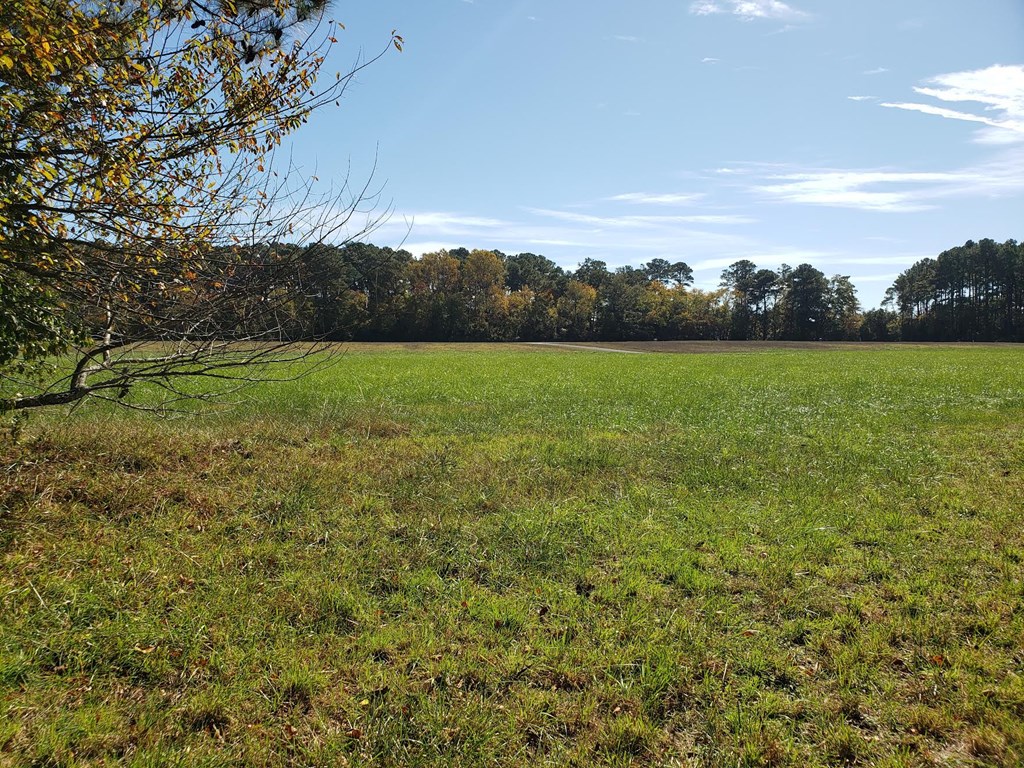 Lot 81 High St #81, Accomac, Virginia image 3