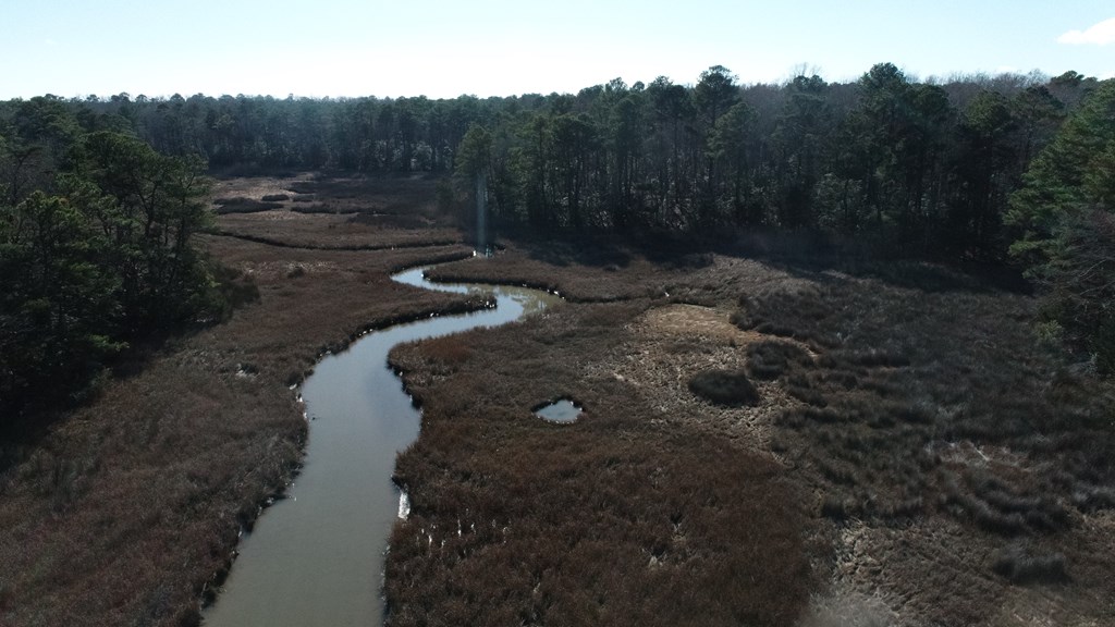 Lot 16 Lucas Tr #16, Machipongo, Virginia image 9