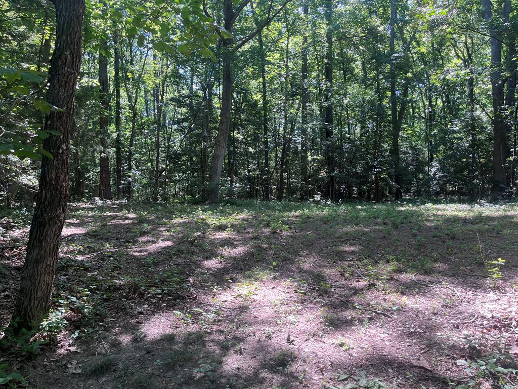 Lot 16 Lucas Tr #16, Machipongo, Virginia image 15