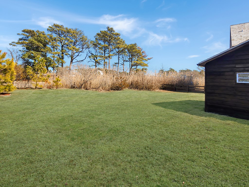 7335 Memorial Park Dr, Chincoteague, Virginia image 6