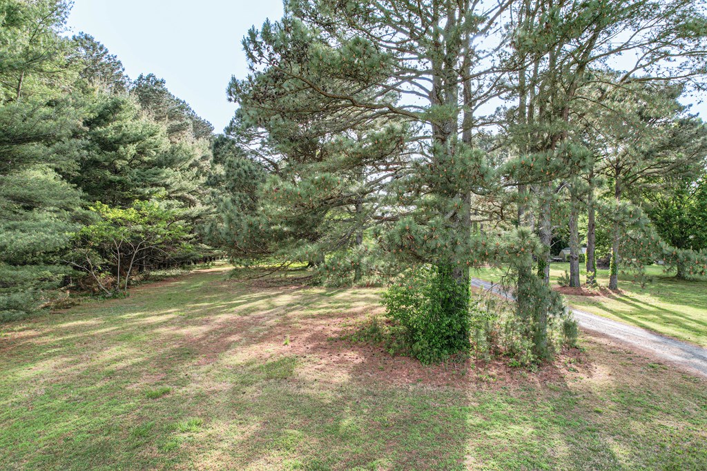 Lot E Sparrow Point Rd #E, Machipongo, Virginia image 4