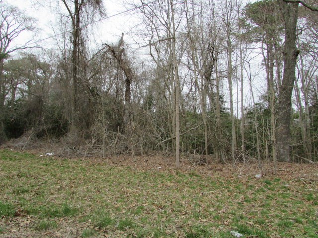 Lot 13 Wallops Millpond Rd #13, New Church, Virginia image 2