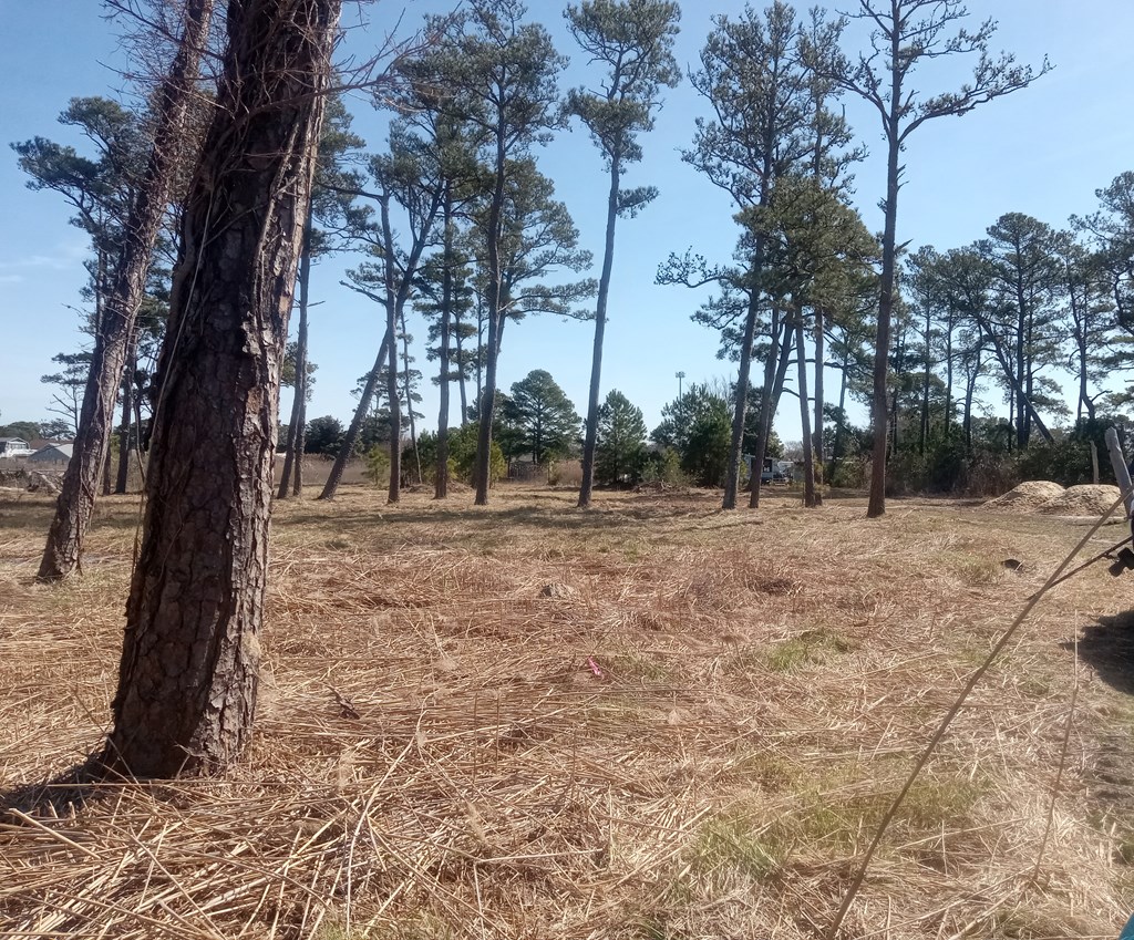 Lot #2 Doe Bay Lane #2, Chincoteague, Virginia image 2