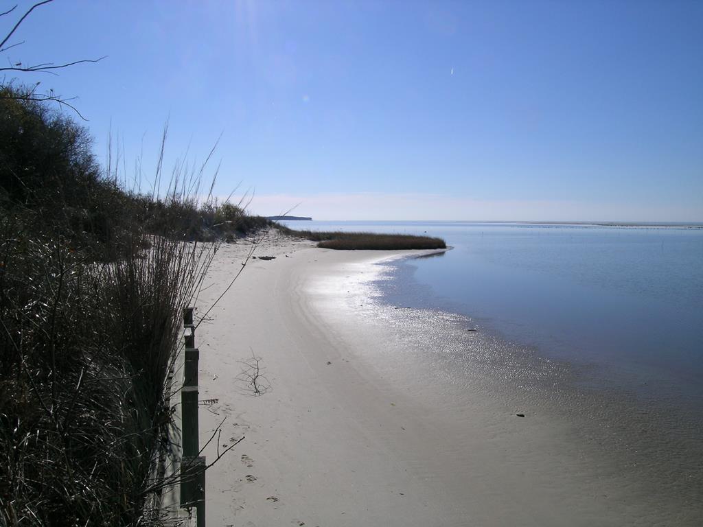 14396 Hungars Beach Rd, Eastville, Virginia image 38
