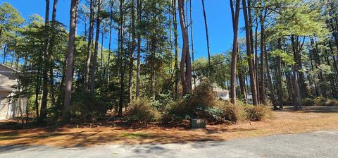 Vacant Land For Sale - 525 Dingy Ct #525<br/> Accomack County, Greenbackville, VA 23356