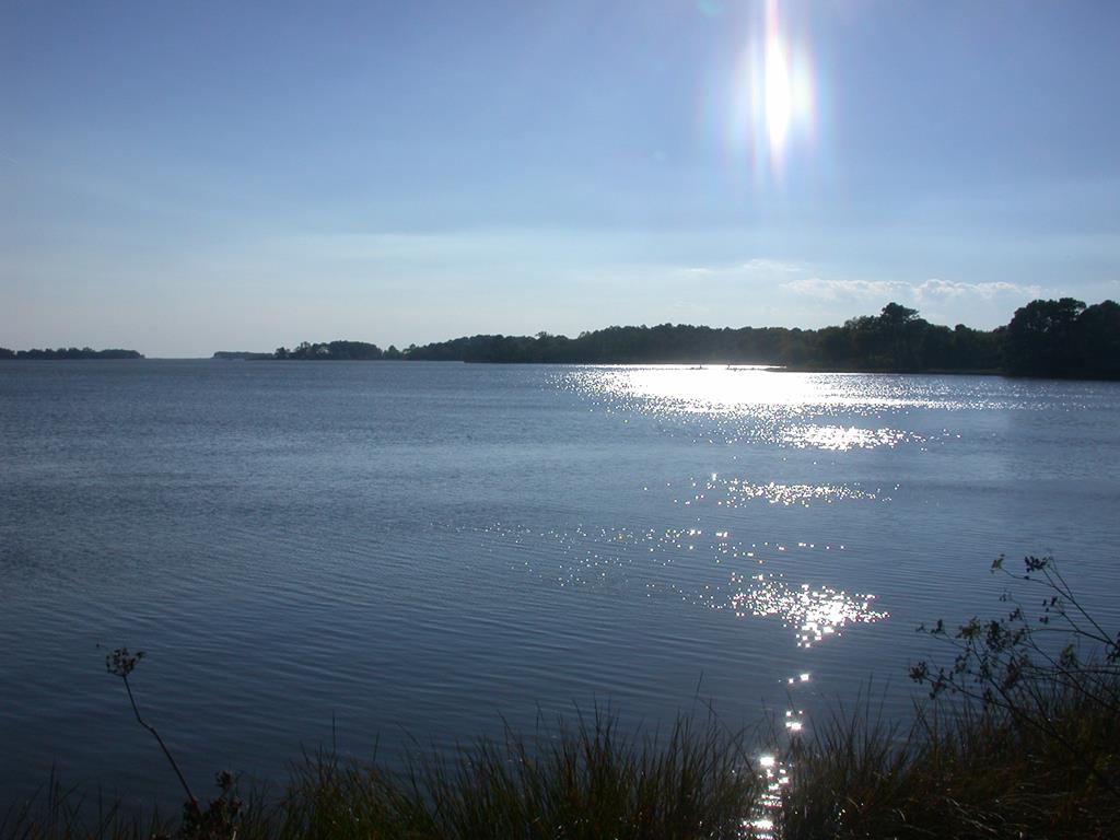 Lot 2A Waverly Lane #2A, Machipongo, Virginia image 5