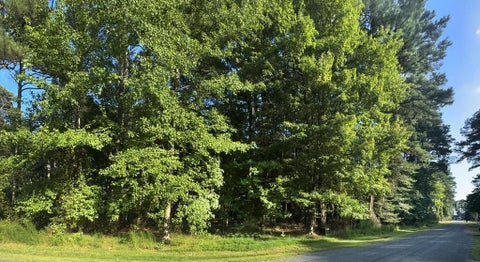 Vacant Land For Sale - LOT 1076 Amidship Dr #1076<br/> Accomack County, Greenbackville, VA 23356