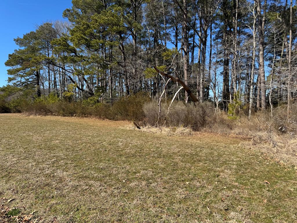 Lot 2 Eagle Drive #2, New Church, Virginia image 1