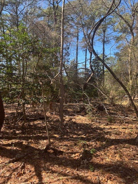 Lot 62 Spoonbill Ln #62, Machipongo, Virginia image 8