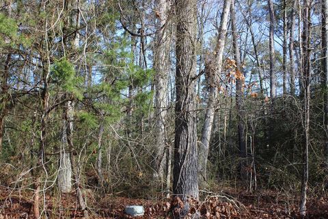 Vacant Land For Sale - 1975 Mayflower Dr #1975<br/> Accomack County, Greenbackville, VA 23356