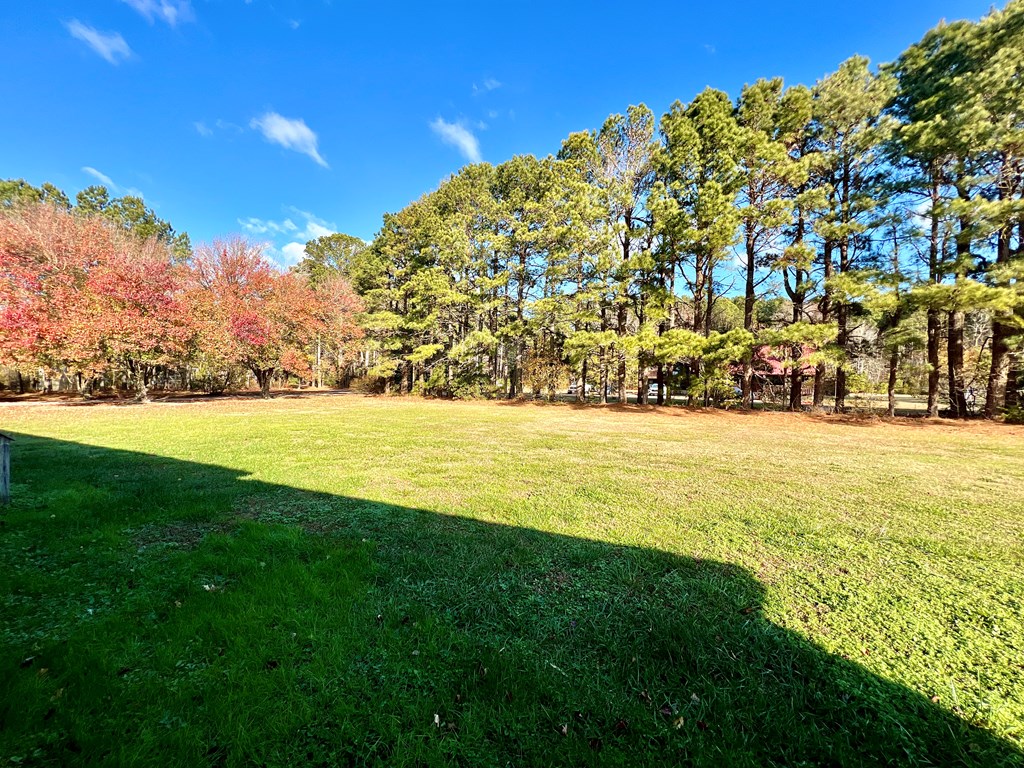 18095 Mappsburg Rd, Painter, Virginia image 36