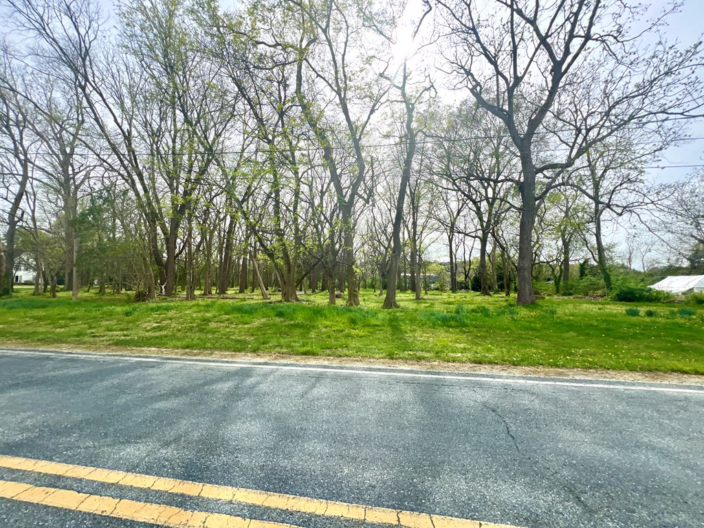 9041 Wellington Neck Rd, Franktown, Virginia image 15