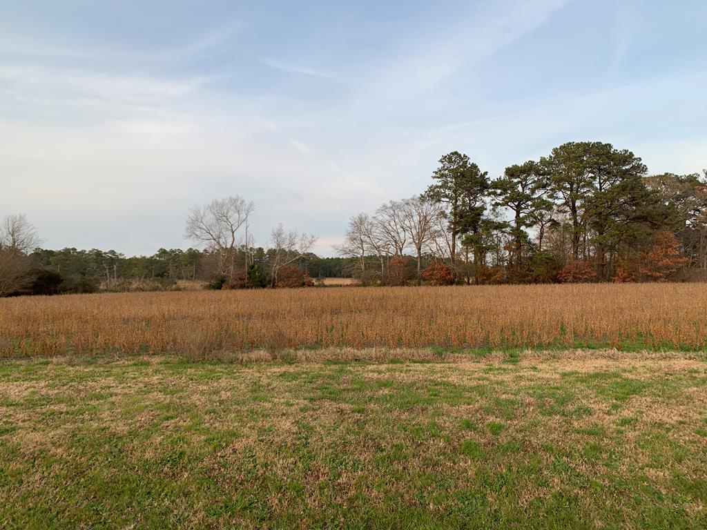 Lot 1 Waterside Dr #1, New Church, Virginia image 10