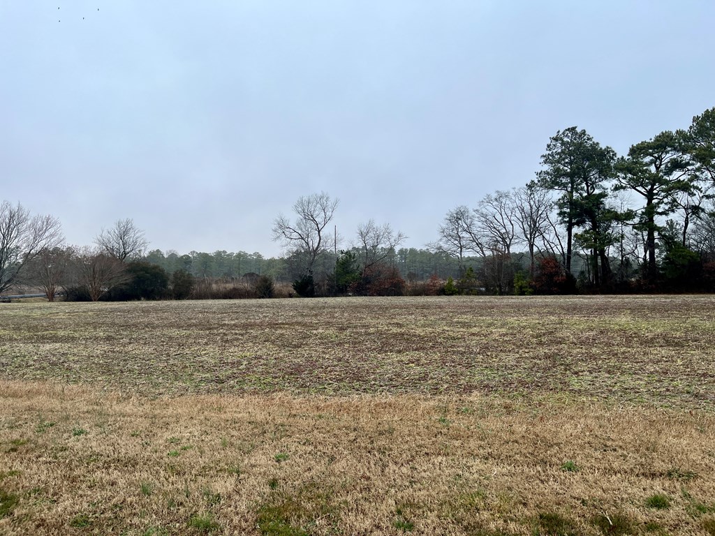 Lot 1 Waterside Dr #1, New Church, Virginia image 12