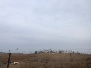 16365 Main Ridge Rd, Tangier, Virginia image 15
