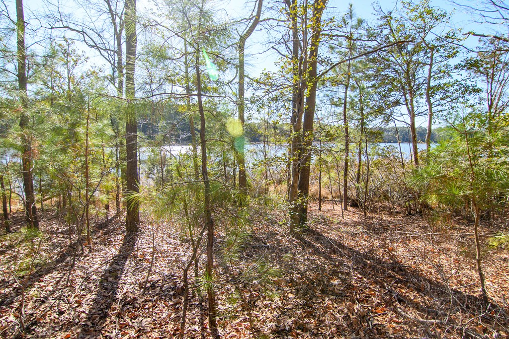 Lot 1 Eagle Point Court #1, Belle Haven, Virginia image 6