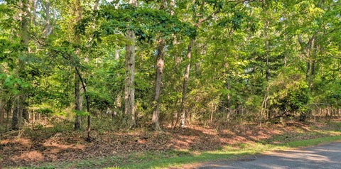 Vacant Land For Sale - LOT 2466 Bounty Ct #2466<br/> Greenbackville, VA 23356