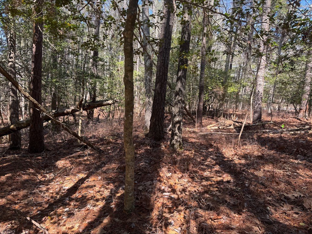 Lot 1897 Buccaneer Blvd #1897, Greenbackville, Virginia image 3