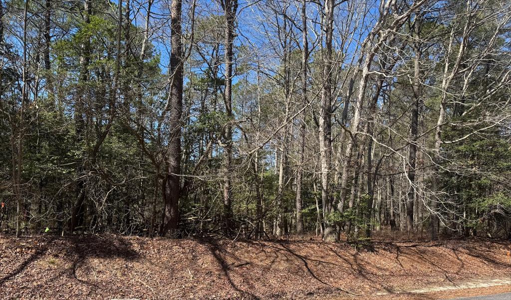 Lot 1897 Buccaneer Blvd #1897, Greenbackville, Virginia image 2