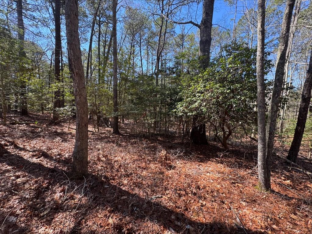 Lot 1897 Buccaneer Blvd #1897, Greenbackville, Virginia image 1