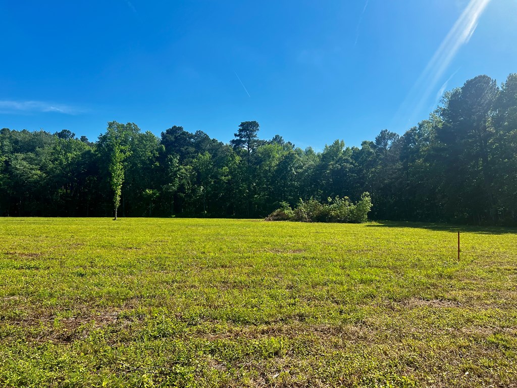 LOTS 1-8 Gray Farm Rd #1-8, Temperanceville, Virginia image 11